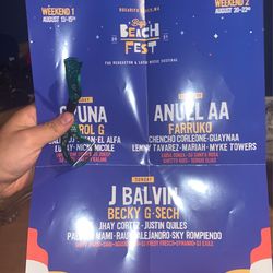 Baja Beach Fest (weekend 1) 