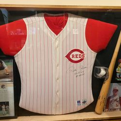 Pete Rose Signed Baseball Bat Jersey Framed $925