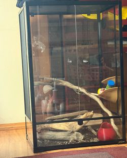 Reptile enclosure