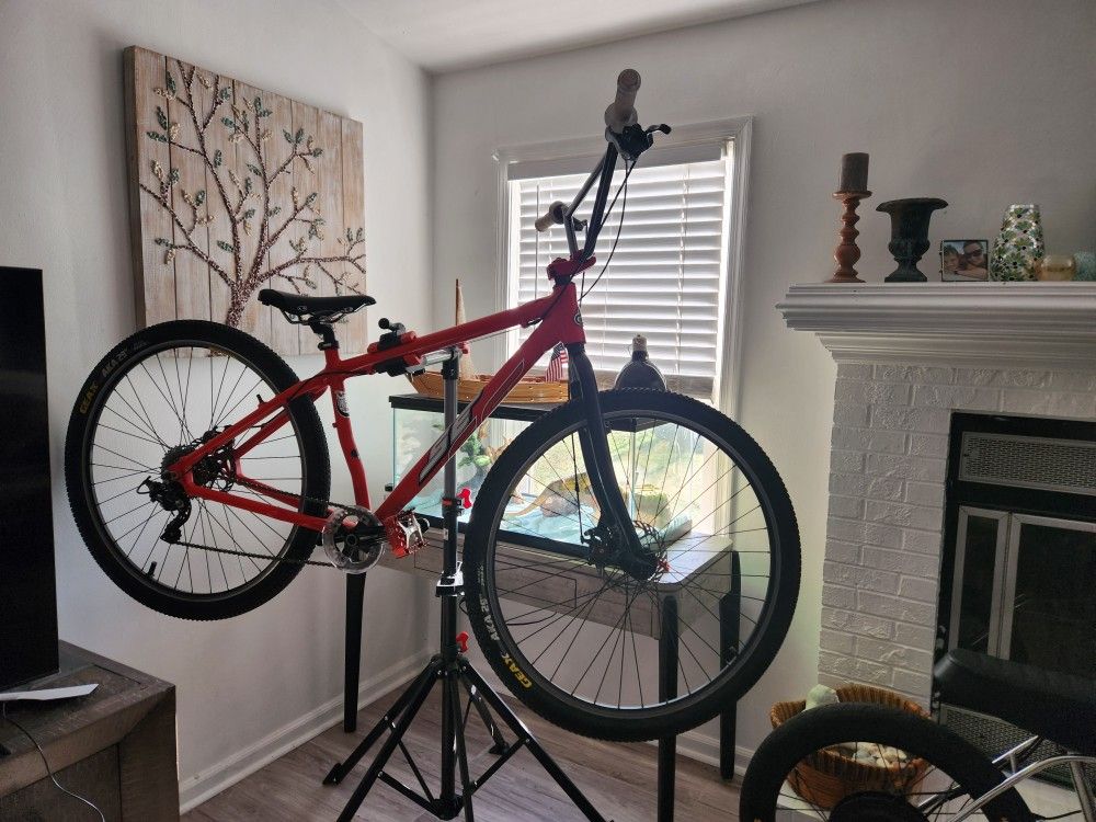 29" SE Racing Bike
