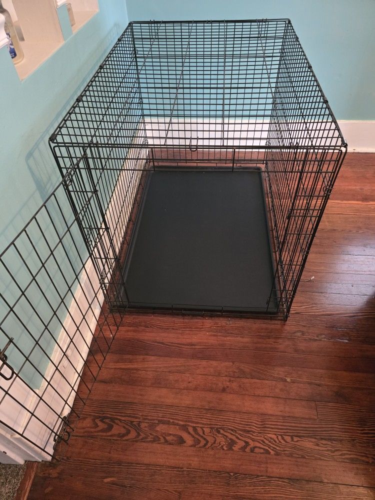 Large Dog Kennel
