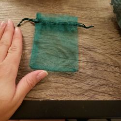 Green Mesh Baggies 