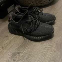 Yeezy 350