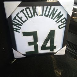 Milwaukee Bucks MVP Antetokounmpo #34 Officially Signed 