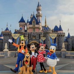 Disneyland  or Disney California adventure  tickets