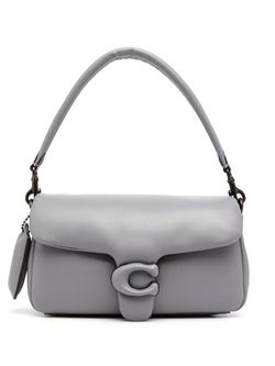 Gray Coach Pillow Tabby 20