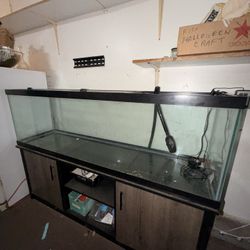 125 Gallon Aquarium