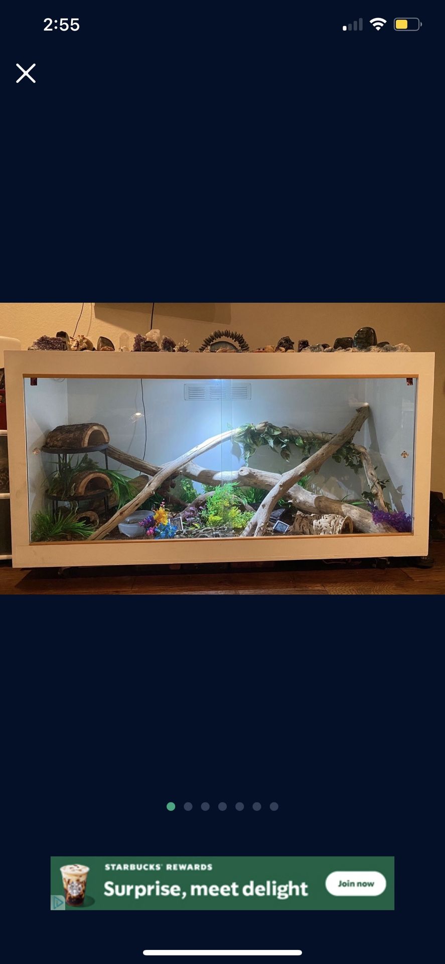 Reptile Enclosure