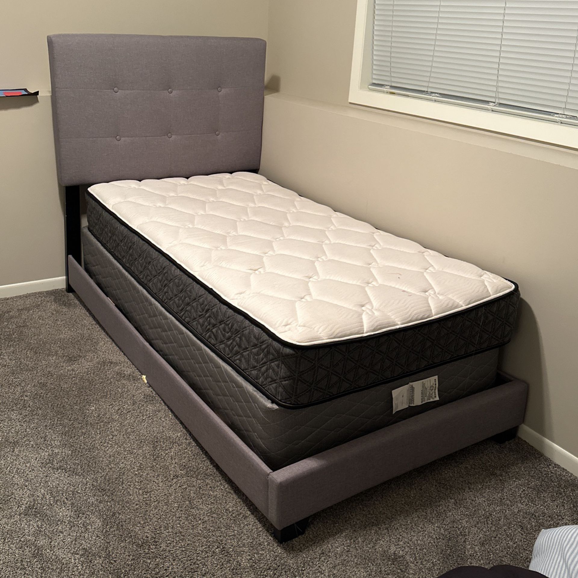 Twin Bed  Box Spring And Mattress 