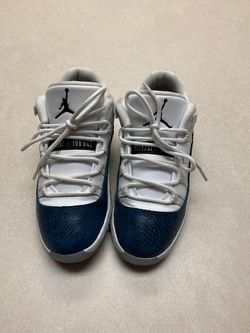 Jordan’s Retro 11 low snake skin