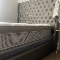 Brand new queen sized bed