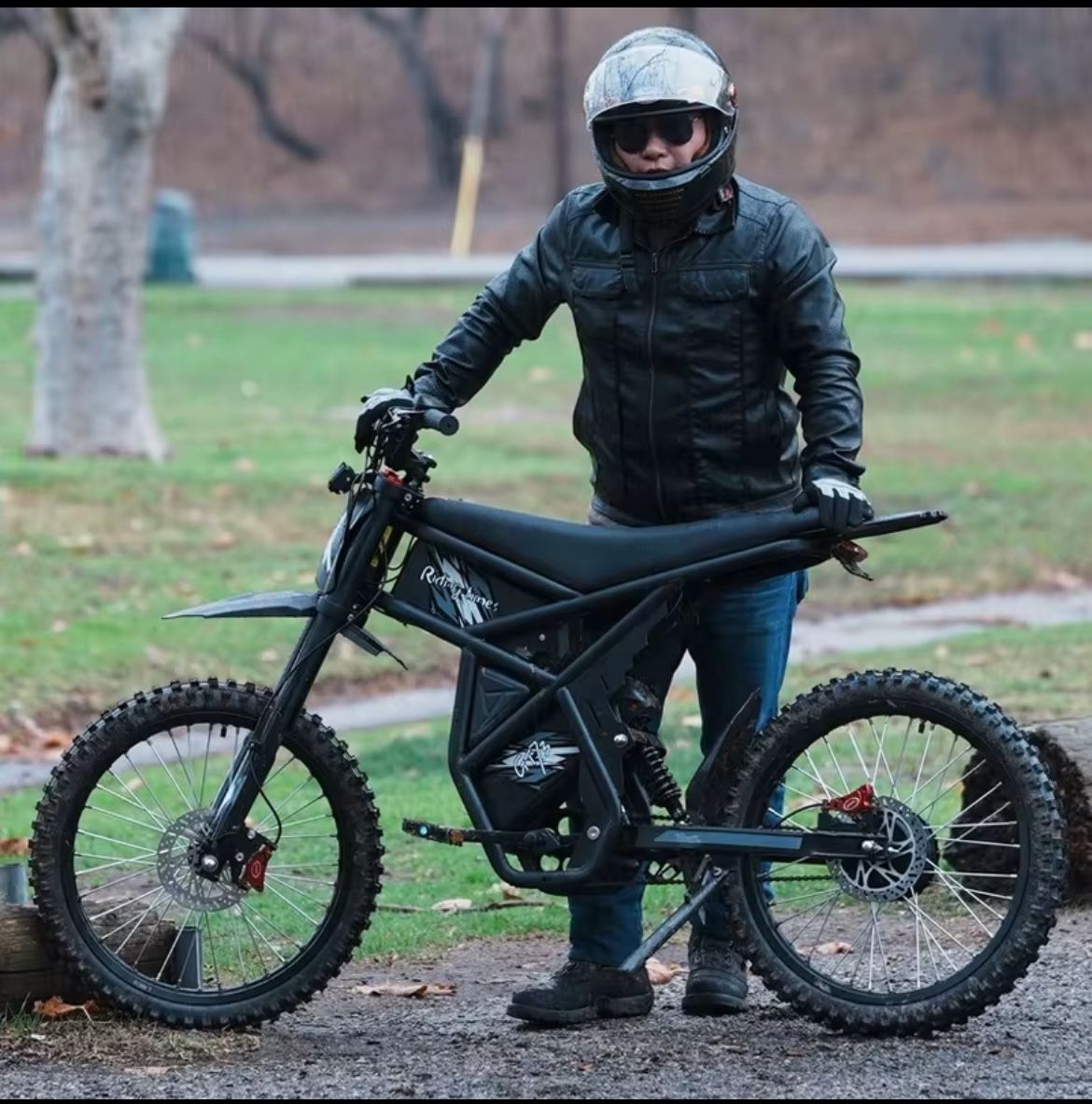 Safeway E-Bike