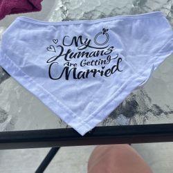 Wedding Accessory For Dogs/cat 