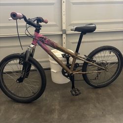 Youth Mountain Bike 18”