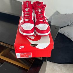 Nike Dunk Size 7