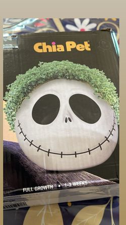 Chia Pet- Nightmare Before Christmas- Decorative planter- Jack skellinghton- Holiday Ornament