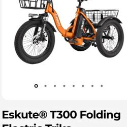 ESKUTE T300 FOLDING ELECTRIC BIKE 