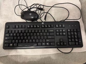 HP Keyboard and Mouse