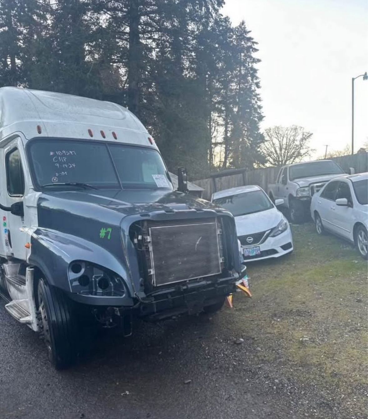 2017 Freightliner Cascadia 125 Parts