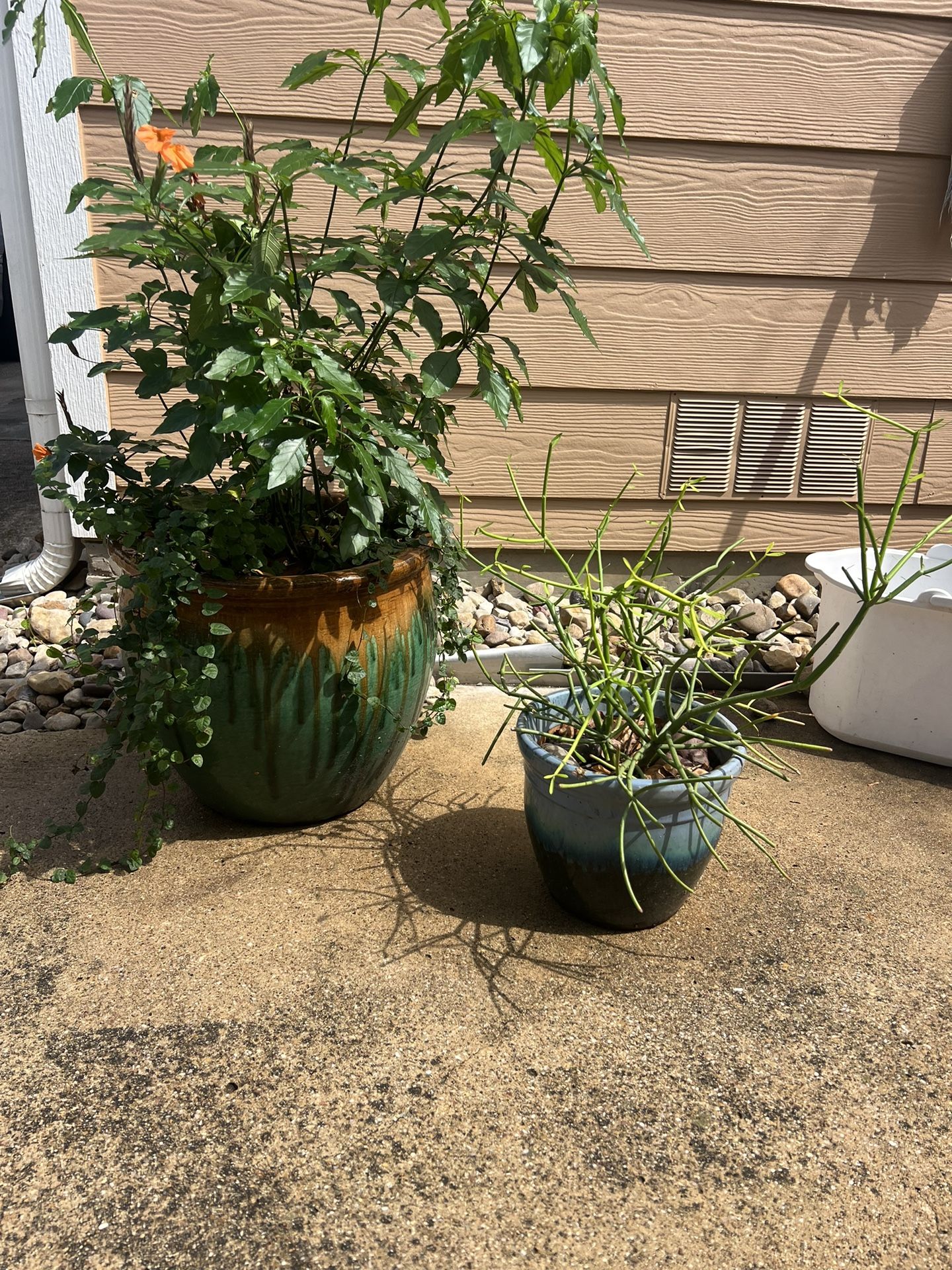 Outdoor Pots With Plant