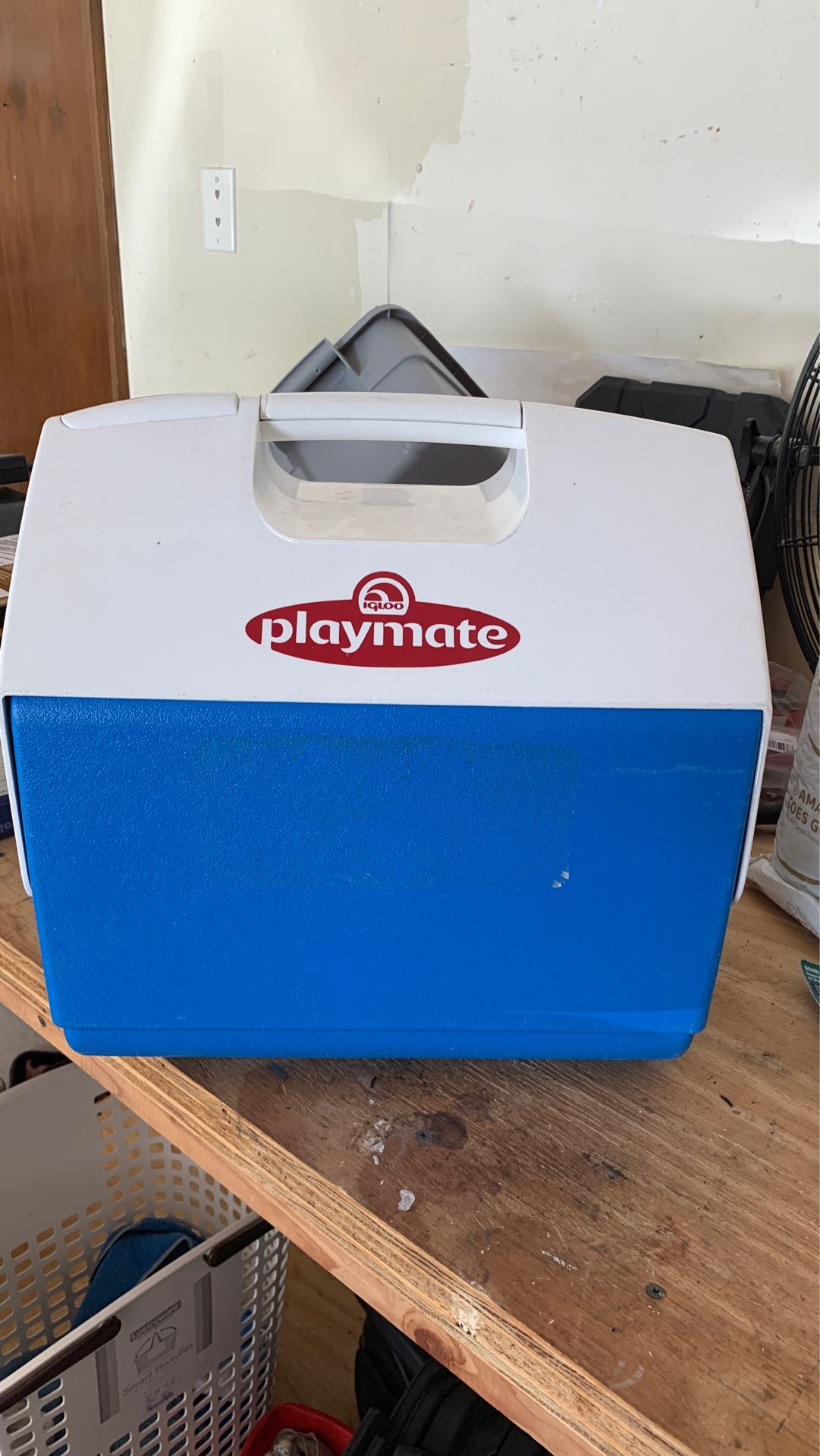 Igloo cooler/Lunch box