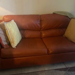 Leather Sleeper Sofa