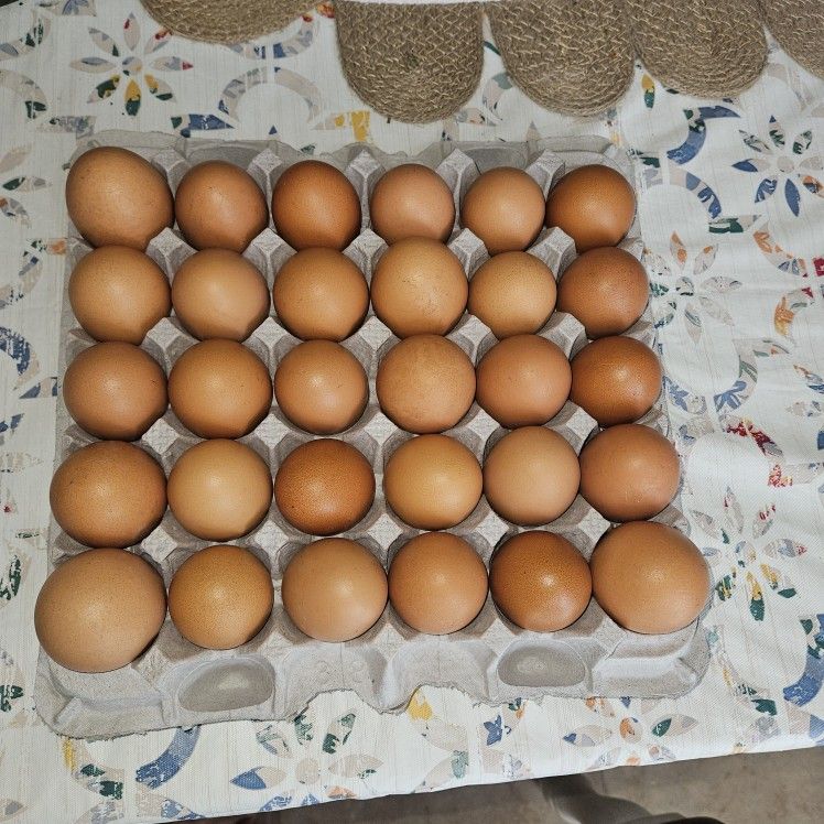 Farm Fresh Eggs