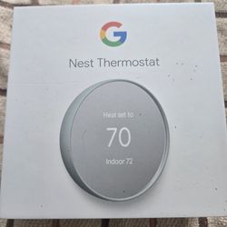 Google Nest
