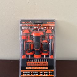 21pcs Screwdriver Set