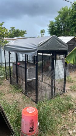 KennelMaster Outdoor Dog Kennel