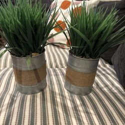 Faux Plants