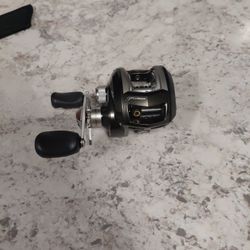 Purist Pflueger Bait Caster 