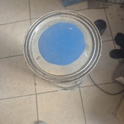 Pinturas En Galon $25 Cada Uno 