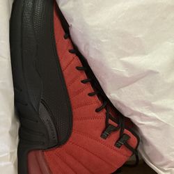 Jordan 12 Brand New 