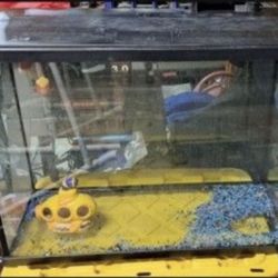 Aquarium- 