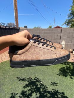 Coach 9.5men brown, and black