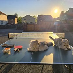 KETTLER Ping Pong Table, Paddles And Balls 🏓