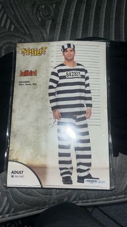 Jailbird Costume