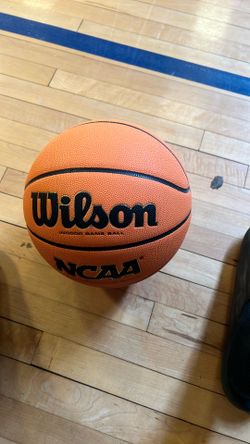 Wilson EVO size 7 standard nba size