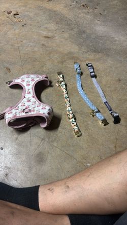 Small Dog Collars And Harness