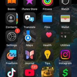 iPhone SE With TikTok 