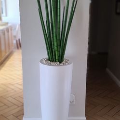 Big Planter White With Snake Grass Plant Artificially High 