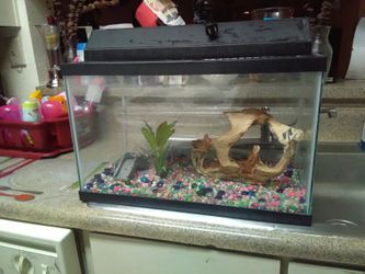 Fish Tank