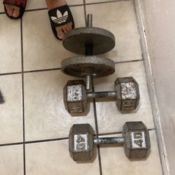 Weights