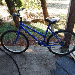 Schwinn Frontier 21 speed
