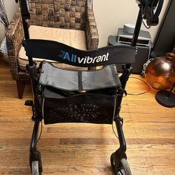 All Vibrant Stand Up Walker   300  Max Weight