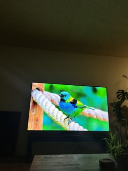 75” Samsung 4K QLED 