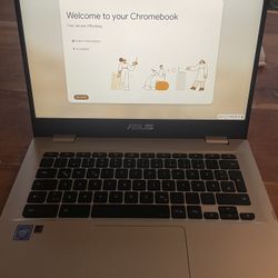 Asus Chromebook C423N