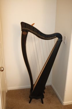 Harp - Dusty Strings Ravenna 34