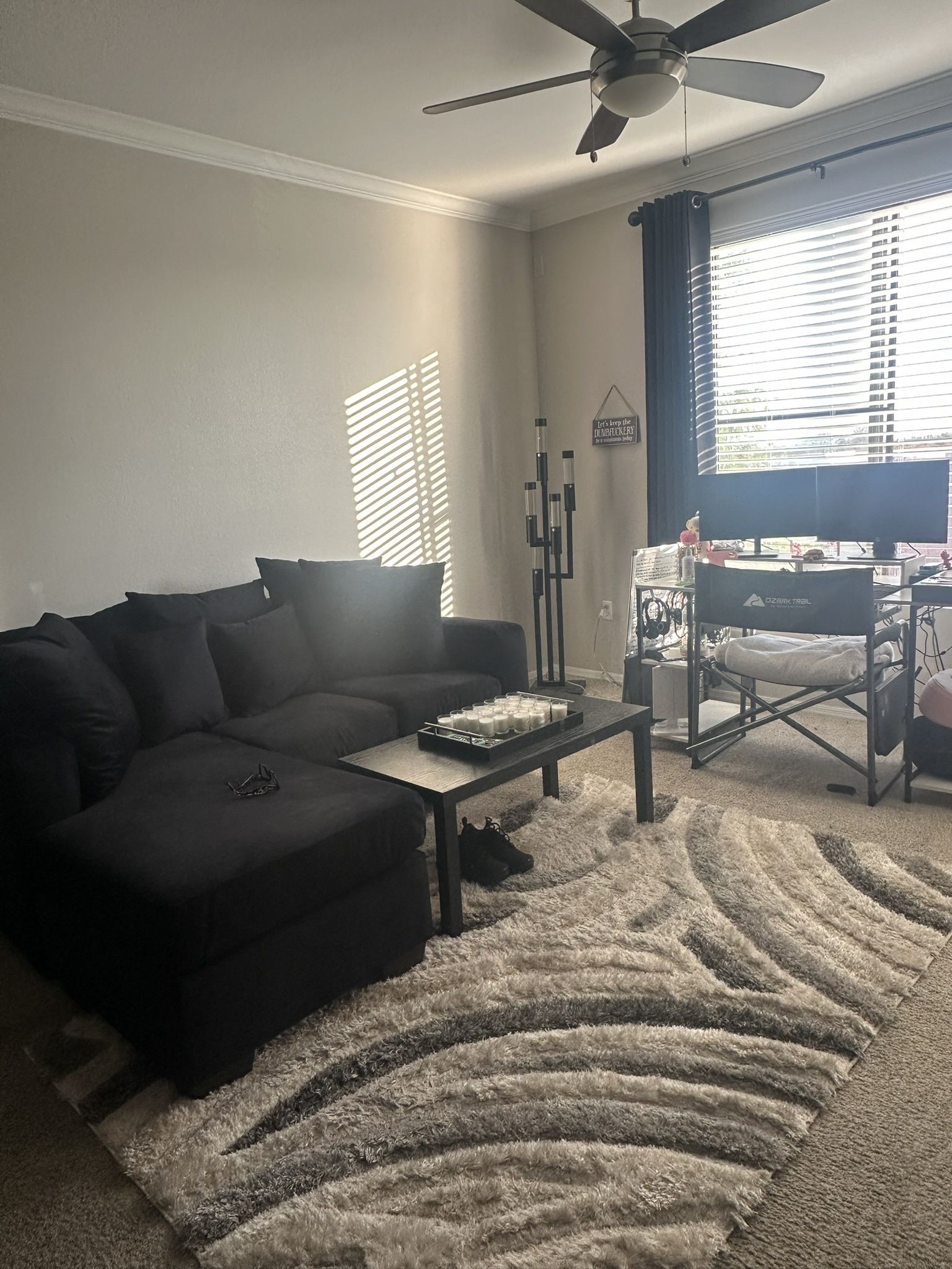 Sofa Couch with Reversible Chaise